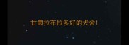 甘肃拉布拉多好的犬舍