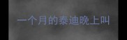 一个月的泰迪晚上叫