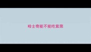 哈士奇能不能吃紫菜