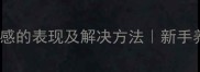 泰迪犬没安全感的表现及解决方法新手养狗必看指南