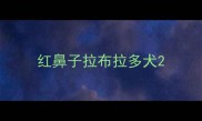 红鼻子拉布拉多犬