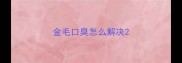 金毛口臭怎么解决