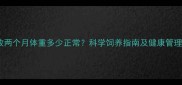 德牧两个月体重多少正常科学饲养指南及健康管理全