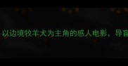导盲犬的使命以边境牧羊犬为主角的感人电影导盲犬训练全纪实