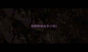 给狗狗驱虫多少钱