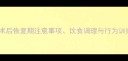 狗狗绝育后护理全攻略术后恢复期注意事项饮食调理与行为训练指南附护理时间表