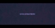 拉布拉多狗如何配种