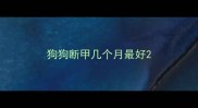 狗狗断甲几个月最好