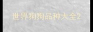 世界狗狗品种大全