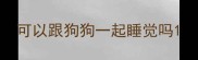可以跟狗狗一起睡觉吗