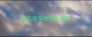 金毛怀孕就爱吃鸡肝