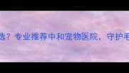 成都宠物医院怎么选专业推荐中和宠物医院守护毛孩健康全攻略