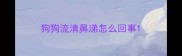 狗狗流清鼻涕怎么回事