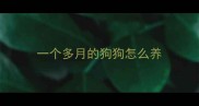 一个多月的狗狗怎么养