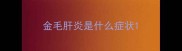 金毛肝炎是什么症状