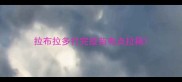 拉布拉多打完疫苗有点拉稀