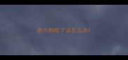 被小狗咬了该怎么办