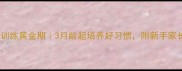比熊犬幼犬训练黄金期3月龄起培养好习惯附新手家长实操指南