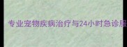 上海瑞鹏宠物医院专业宠物疾病治疗与24小时急诊服务守护毛孩健康