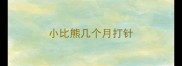 小比熊几个月打针