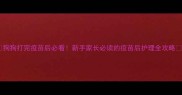 狗狗打完疫苗后必看新手家长必读的疫苗后护理全攻略