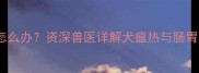 哈士奇眼屎多拉肚子怎么办资深兽医详解犬瘟热与肠胃炎的鉴别与治疗指南