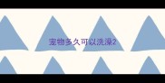 宠物多久可以洗澡