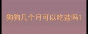狗狗几个月可以吃盐吗