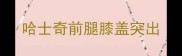 哈士奇前腿膝盖突出
