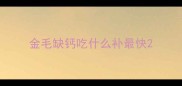 金毛缺钙吃什么补最快