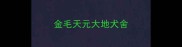 金毛天元大地犬舍