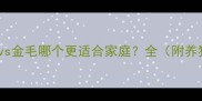 边境牧羊犬vs金毛哪个更适合家庭全附养狗避坑指南