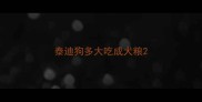 泰迪狗多大吃成犬粮