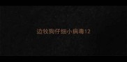 边牧狗仔细小病毒1