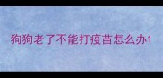 狗狗老了不能打疫苗怎么办