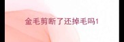 金毛剪断了还掉毛吗