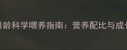 边境牧羊犬3月龄科学喂养指南营养配比与成长关键期管理