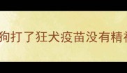 狗狗打了狂犬疫苗没有精神