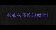 拉布拉多吃过就吐
