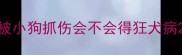 被小狗抓伤会不会得狂犬病