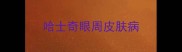 哈士奇眼周皮肤病