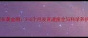 土狗成长黄金期3-6个月发育速度全与科学养护指南