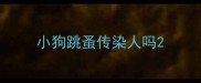 小狗跳蚤传染人吗