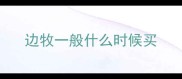 边牧一般什么时候买