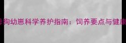哈士奇母狗幼崽科学养护指南饲养要点与健康生长全