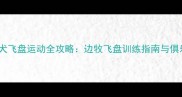 中国边境牧羊犬飞盘运动全攻略边牧飞盘训练指南与俱乐部活动指南