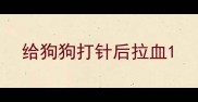 给狗狗打针后拉血