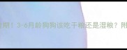 幼犬换粮黄金期3-6月龄狗狗该吃干粮还是湿粮附科学喂养指南