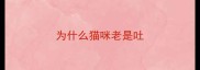 为什么猫咪老是吐