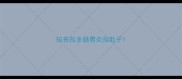 拉布拉多肠胃炎拉肚子